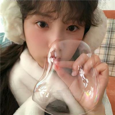 今天也很可爱的狗